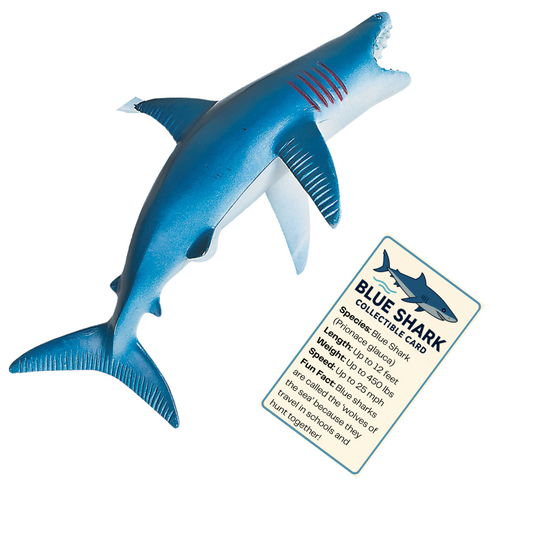 shark with greeting card