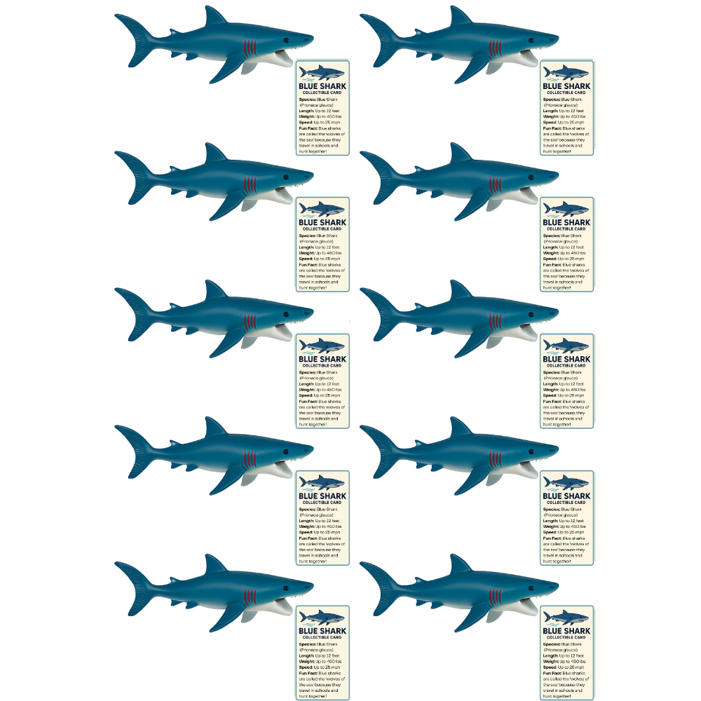 12 sharks with 12 greeting cards