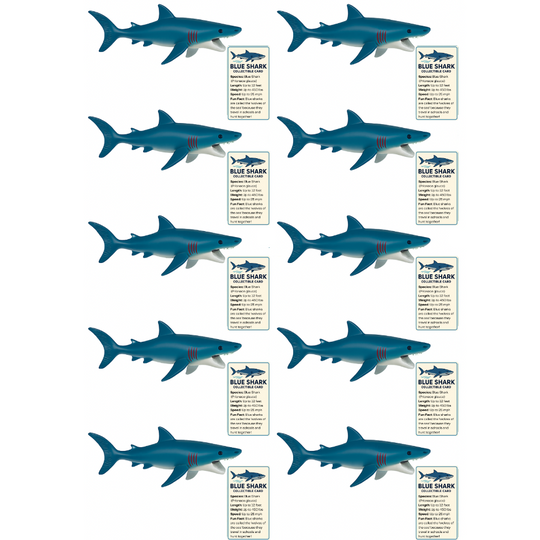 12 sharks with 12 greeting cards