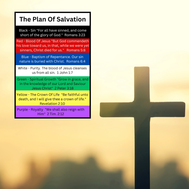 100 Bulk Count of Plan of Salvation Prayer Pocket Cards