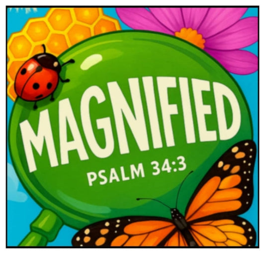 A square graphic with the word 'MAGNIFIED' in large white letters over a bright green magnifying glass shape, with 'PSALM 34:3' below. Decorative illustrations include a red ladybug on the left, a pink flower at the top right, and an orange-and-black butterfly at the bottom on a light blue background.