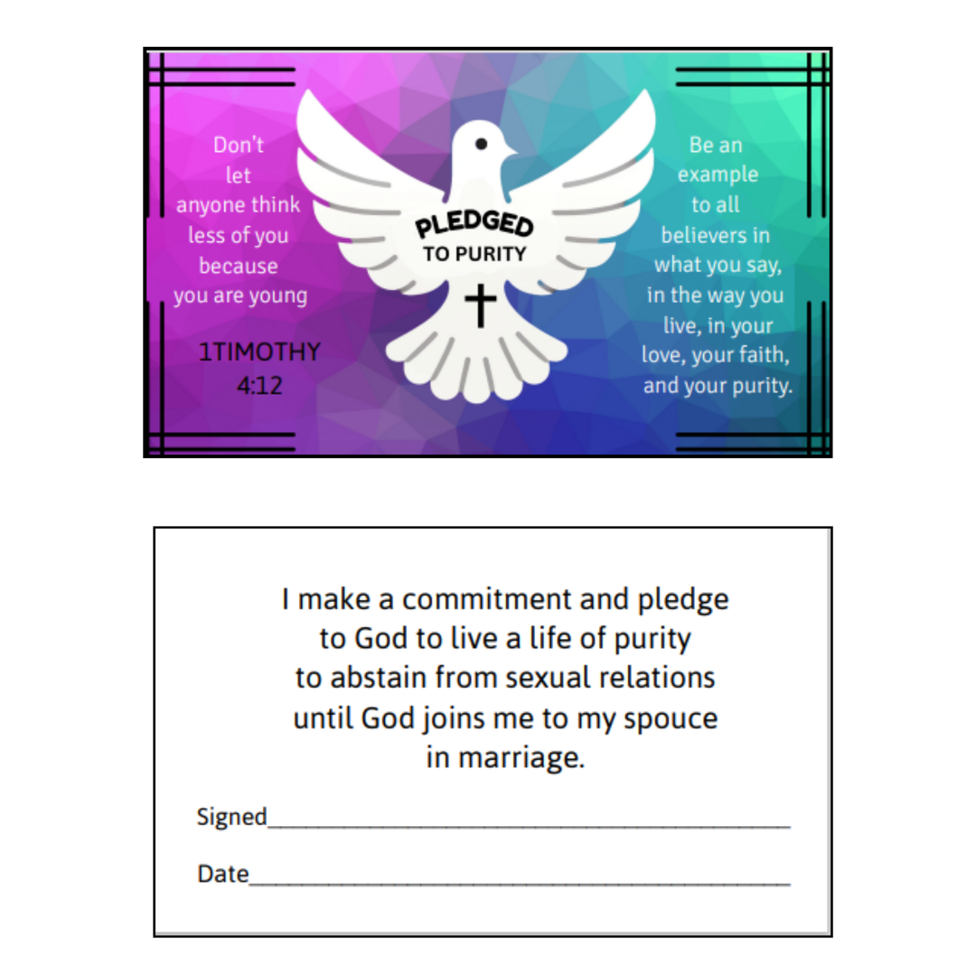 Abstinence Pledged to Purity Teen Youth Bracelet & Pledge Card