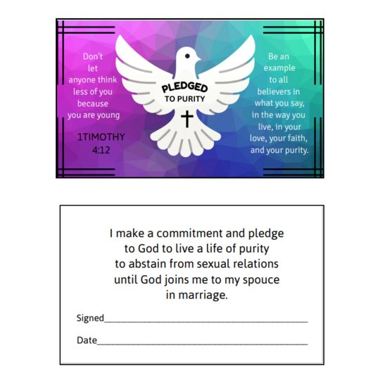 Abstinence Pledged to Purity Teen Youth Bracelet & Pledge Card