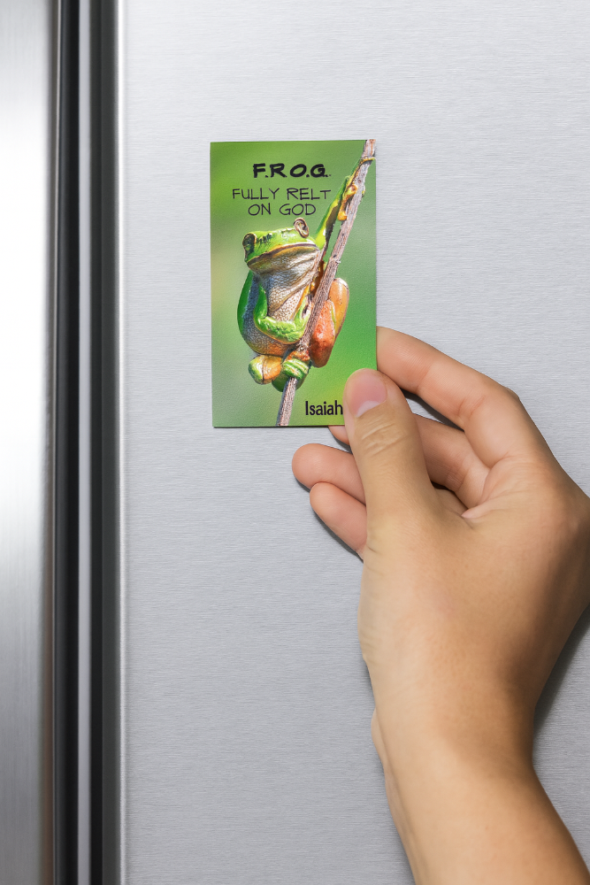 Hand placing a magnet with a frog design on a refrigerator door.